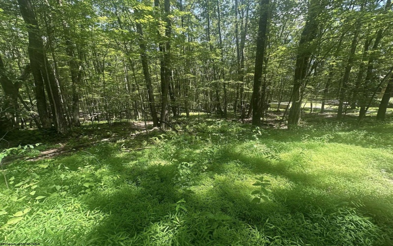 134 Windflower Drive, Terra Alta, West Virginia 26766, ,Lots/land,For Sale,Windflower,10160718