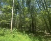 134 Windflower Drive, Terra Alta, West Virginia 26766, ,Lots/land,For Sale,Windflower,10160718