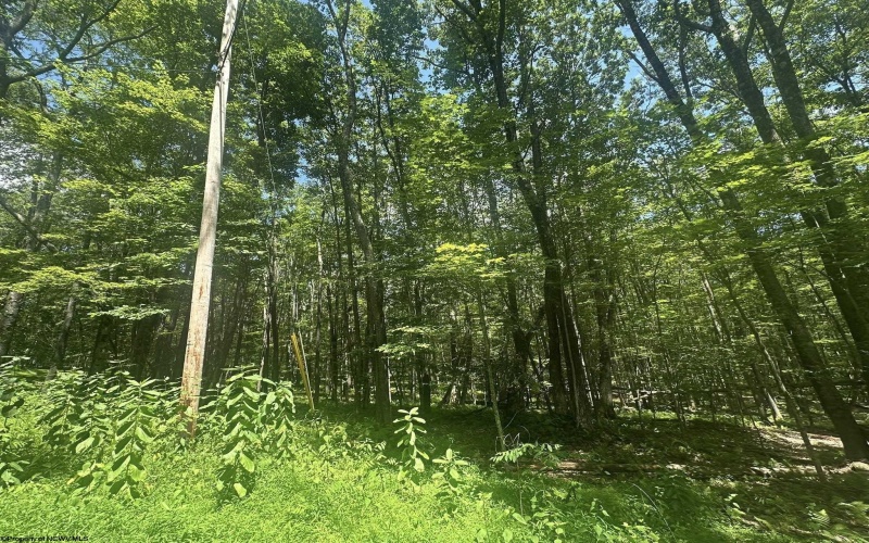 134 Windflower Drive, Terra Alta, West Virginia 26766, ,Lots/land,For Sale,Windflower,10160718