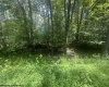 222 Woodbine Drive, Terra Alta, West Virginia 26764, ,Lots/land,For Sale,Woodbine,10160719