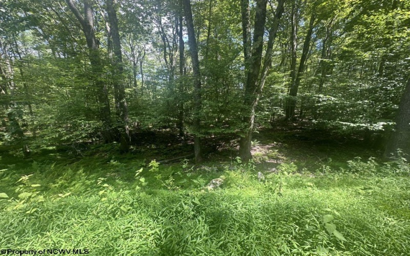 222 Woodbine Drive, Terra Alta, West Virginia 26764, ,Lots/land,For Sale,Woodbine,10160719