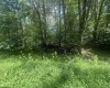 222 Woodbine Drive, Terra Alta, West Virginia 26764, ,Lots/land,For Sale,Woodbine,10160719
