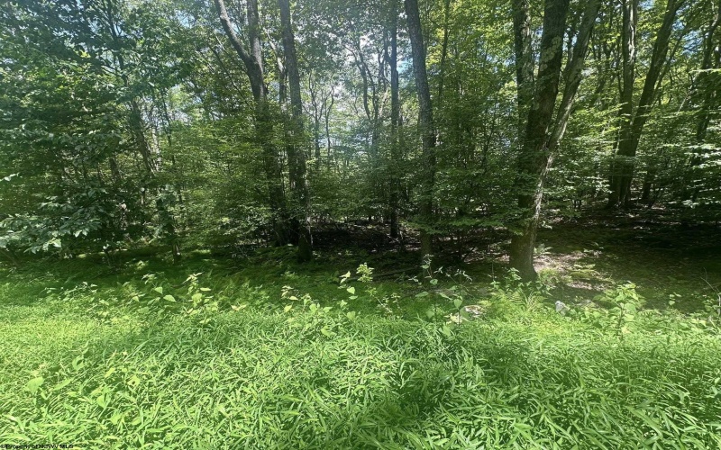 222 Woodbine Drive, Terra Alta, West Virginia 26764, ,Lots/land,For Sale,Woodbine,10160719