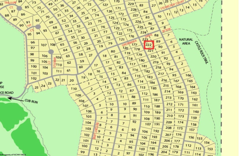 222 Woodbine Drive, Terra Alta, West Virginia 26764, ,Lots/land,For Sale,Woodbine,10160719