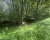 222 Woodbine Drive, Terra Alta, West Virginia 26764, ,Lots/land,For Sale,Woodbine,10160719