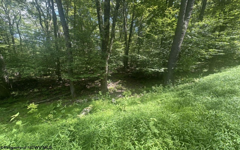 222 Woodbine Drive, Terra Alta, West Virginia 26764, ,Lots/land,For Sale,Woodbine,10160719
