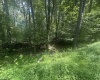 222 Woodbine Drive, Terra Alta, West Virginia 26764, ,Lots/land,For Sale,Woodbine,10160719