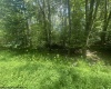 222 Woodbine Drive, Terra Alta, West Virginia 26764, ,Lots/land,For Sale,Woodbine,10160719