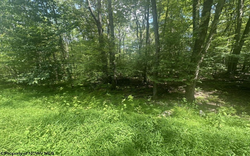 222 Woodbine Drive, Terra Alta, West Virginia 26764, ,Lots/land,For Sale,Woodbine,10160719