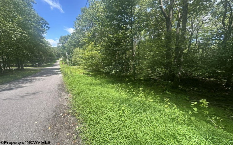 222 Woodbine Drive, Terra Alta, West Virginia 26764, ,Lots/land,For Sale,Woodbine,10160719
