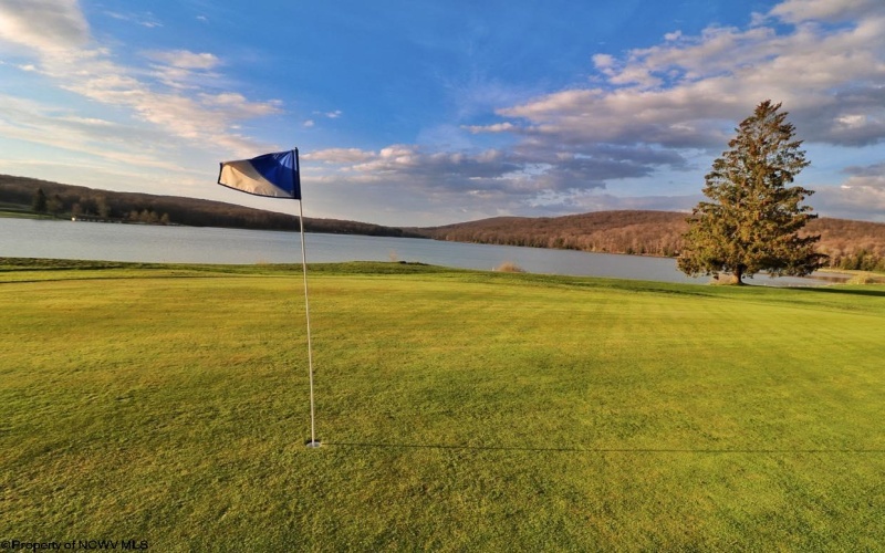 88 Goldenrod Drive, Terra Alta, West Virginia 26764, ,Lots/land,For Sale,Goldenrod,10160720