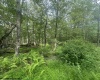 88 Goldenrod Drive, Terra Alta, West Virginia 26764, ,Lots/land,For Sale,Goldenrod,10160720