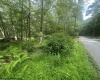 88 Goldenrod Drive, Terra Alta, West Virginia 26764, ,Lots/land,For Sale,Goldenrod,10160720