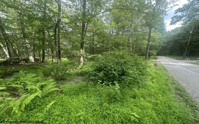 88 Goldenrod Drive, Terra Alta, West Virginia 26764, ,Lots/land,For Sale,Goldenrod,10160720