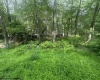 88 Goldenrod Drive, Terra Alta, West Virginia 26764, ,Lots/land,For Sale,Goldenrod,10160720