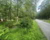 88 Goldenrod Drive, Terra Alta, West Virginia 26764, ,Lots/land,For Sale,Goldenrod,10160720