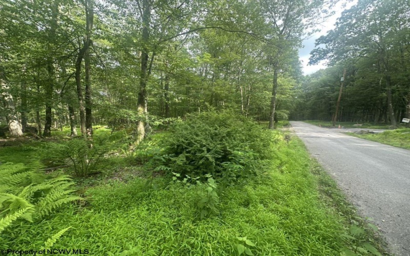 88 Goldenrod Drive, Terra Alta, West Virginia 26764, ,Lots/land,For Sale,Goldenrod,10160720