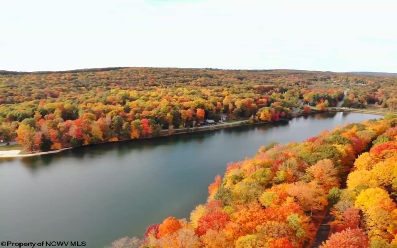 88 Goldenrod Drive, Terra Alta, West Virginia 26764, ,Lots/land,For Sale,Goldenrod,10160720