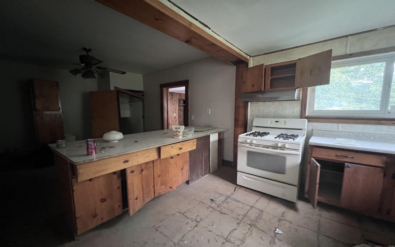 119 Heavner Avenue, Elkins, West Virginia 26241, 4 Bedrooms Bedrooms, 10 Rooms Rooms,1 BathroomBathrooms,Single Family Detached,For Sale,Heavner,10160709