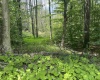 Lot 60 Brookeside Road, Davis, West Virginia 26260, ,Lots/land,For Sale,Brookeside,10066409