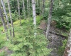 Lot 60 Brookeside Road, Davis, West Virginia 26260, ,Lots/land,For Sale,Brookeside,10066409