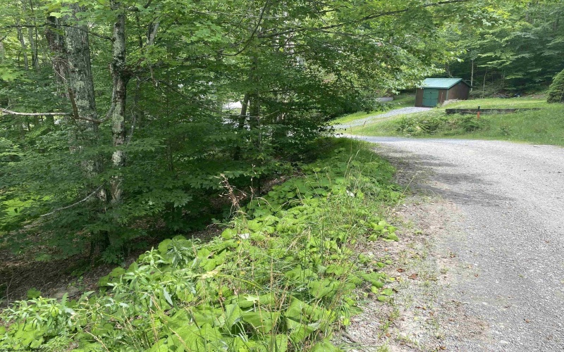 Lot 60 Brookeside Road, Davis, West Virginia 26260, ,Lots/land,For Sale,Brookeside,10066409