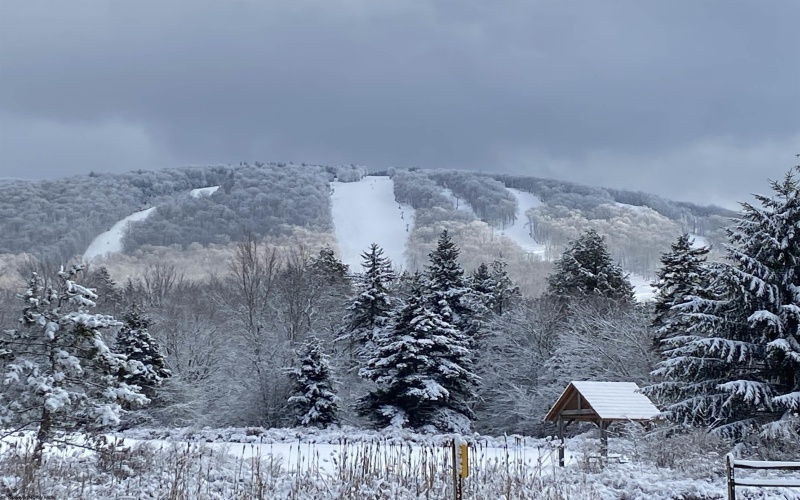 Lot 60 Brookeside Road, Davis, West Virginia 26260, ,Lots/land,For Sale,Brookeside,10066409