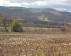 Lot 60 Brookeside Road, Davis, West Virginia 26260, ,Lots/land,For Sale,Brookeside,10066409