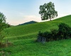 Lot 1 Lynch Road, Morgantown, West Virginia 26501, ,Lots/land,For Sale,Lynch,10156199