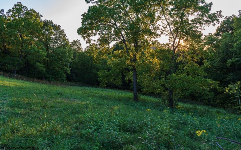 Lot 1 Lynch Road, Morgantown, West Virginia 26501, ,Lots/land,For Sale,Lynch,10156199