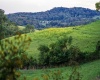 Lot 1 Lynch Road, Morgantown, West Virginia 26501, ,Lots/land,For Sale,Lynch,10156199