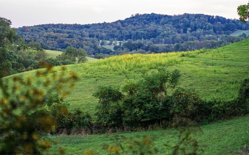Lot 1 Lynch Road, Morgantown, West Virginia 26501, ,Lots/land,For Sale,Lynch,10156199