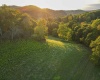 Lot 1 Lynch Road, Morgantown, West Virginia 26501, ,Lots/land,For Sale,Lynch,10156199
