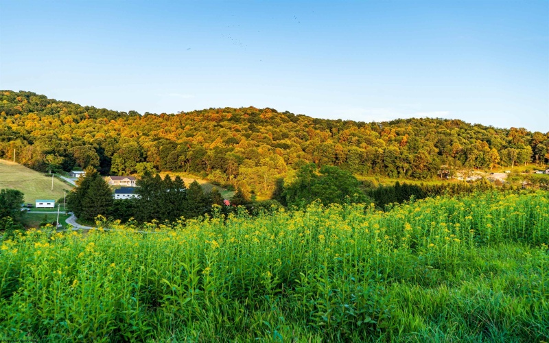 Lot 1 Lynch Road, Morgantown, West Virginia 26501, ,Lots/land,For Sale,Lynch,10156199