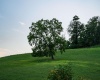 Lot 1 Lynch Road, Morgantown, West Virginia 26501, ,Lots/land,For Sale,Lynch,10156199