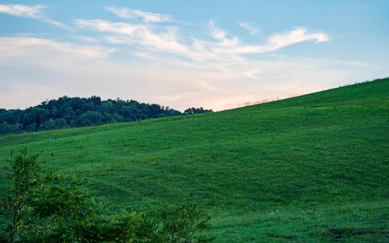 Lot 1 Lynch Road, Morgantown, West Virginia 26501, ,Lots/land,For Sale,Lynch,10156199