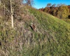 Lot 1 Lynch Road, Morgantown, West Virginia 26501, ,Lots/land,For Sale,Lynch,10156199