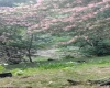 34 Sandy Beach Road, Fairmont, West Virginia 26554, ,Lots/land,For Sale,Sandy Beach,10160728
