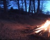 34 Sandy Beach Road, Fairmont, West Virginia 26554, ,Lots/land,For Sale,Sandy Beach,10160728
