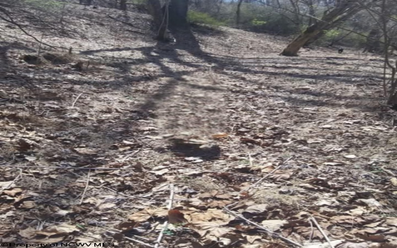34 Sandy Beach Road, Fairmont, West Virginia 26554, ,Lots/land,For Sale,Sandy Beach,10160728