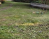 34 Sandy Beach Road, Fairmont, West Virginia 26554, ,Lots/land,For Sale,Sandy Beach,10160728