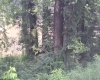 34 Sandy Beach Road, Fairmont, West Virginia 26554, ,Lots/land,For Sale,Sandy Beach,10160728