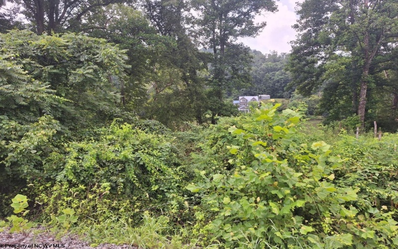 34 Sandy Beach Road, Fairmont, West Virginia 26554, ,Lots/land,For Sale,Sandy Beach,10160728