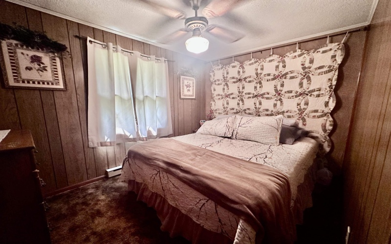 4098 Audra Park Road, Belington, West Virginia 26250, 3 Bedrooms Bedrooms, 6 Rooms Rooms,1 BathroomBathrooms,Single Family Detached,For Sale,Audra Park,10160743