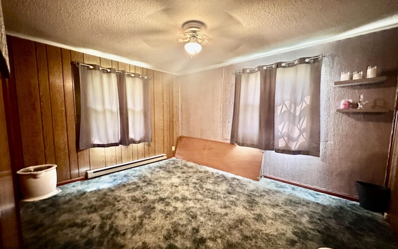 4098 Audra Park Road, Belington, West Virginia 26250, 3 Bedrooms Bedrooms, 6 Rooms Rooms,1 BathroomBathrooms,Single Family Detached,For Sale,Audra Park,10160743