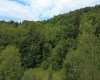 TBD Kanes Creek Road, Reedsville, West Virginia 26547, ,Lots/land,For Sale,Kanes Creek,10160758