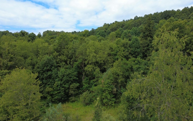 TBD Kanes Creek Road, Reedsville, West Virginia 26547, ,Lots/land,For Sale,Kanes Creek,10160758