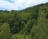 TBD Kanes Creek Road, Reedsville, West Virginia 26547, ,Lots/land,For Sale,Kanes Creek,10160758