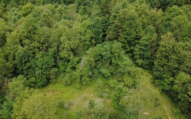 TBD Kanes Creek Road, Reedsville, West Virginia 26547, ,Lots/land,For Sale,Kanes Creek,10160758
