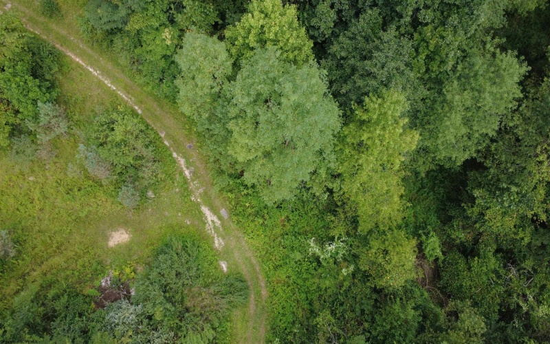 TBD Kanes Creek Road, Reedsville, West Virginia 26547, ,Lots/land,For Sale,Kanes Creek,10160758